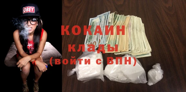 стафф Дмитриев
