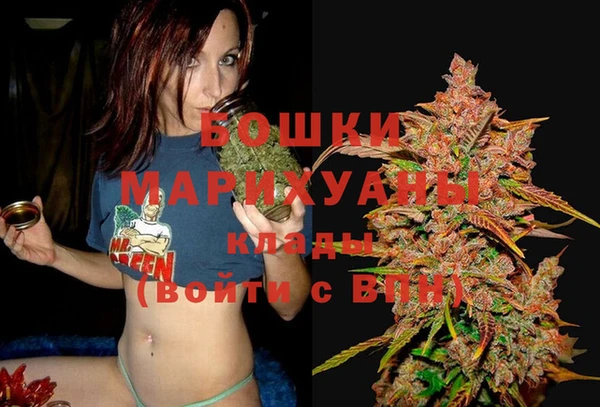 стафф Дмитриев