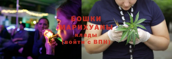 Альфа ПВП Дмитров
