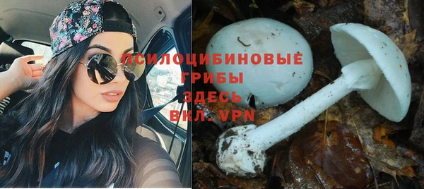 стафф Дмитриев