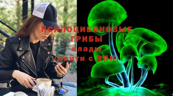 Альфа ПВП Дмитров