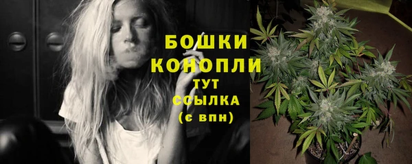 стафф Дмитриев