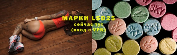 стафф Дмитриев