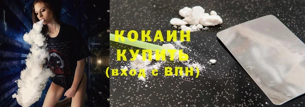 стафф Дмитриев