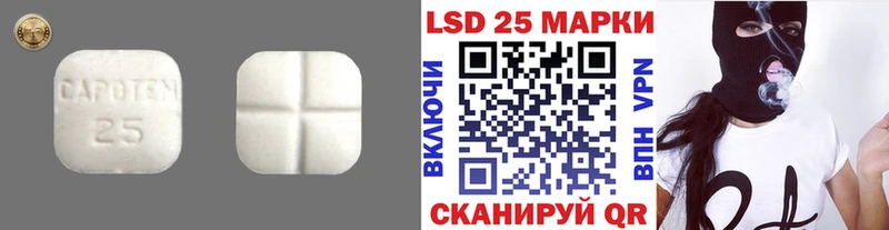 Купить закладки  Кириши  Лсд 25 экстази ecstasy 