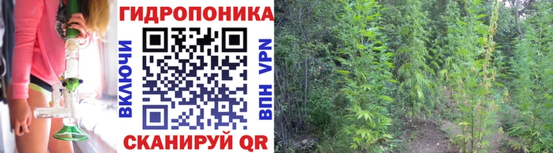 Бошки Шишки Ganja  Купить  Кириши 